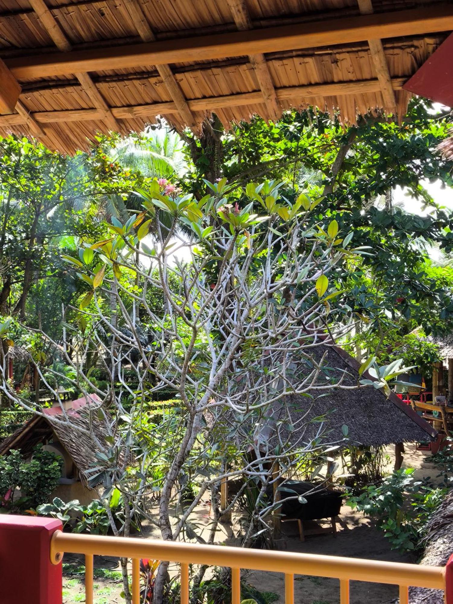 Sulu Sunset Beach Resort Nauhang Ngoại thất bức ảnh